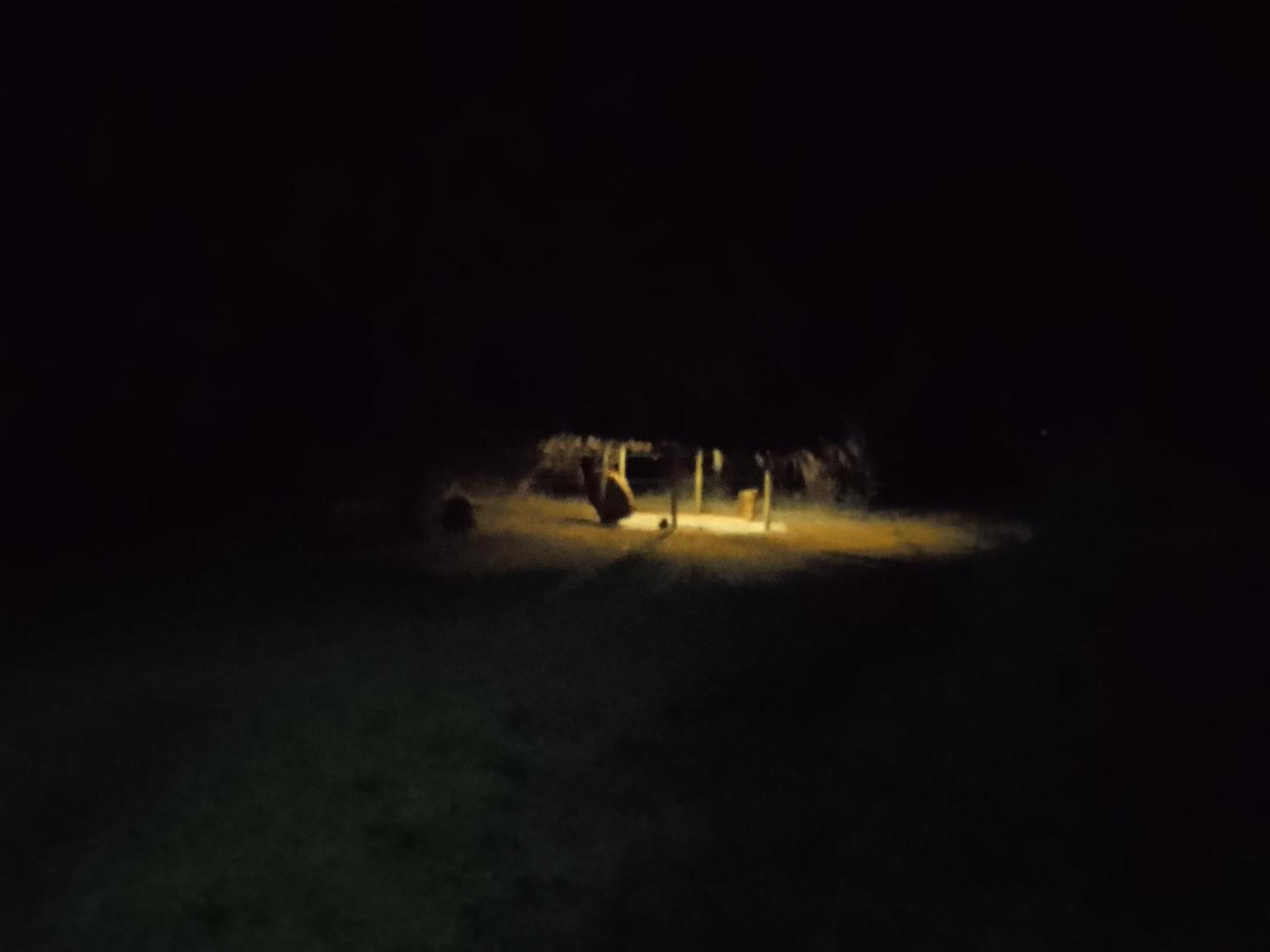 Wilpattu Buma Homestay Pahala Maragahawewa ภายนอก รูปภาพ