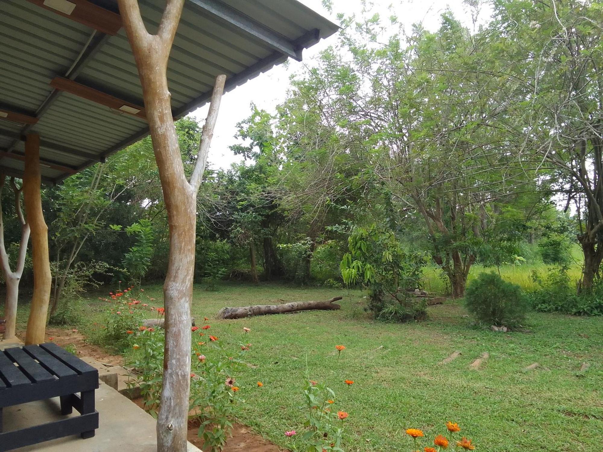 Wilpattu Buma Homestay Pahala Maragahawewa ภายนอก รูปภาพ
